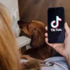 Boosting Your TikTok Popularity Through Strategic Purchasing of Followers